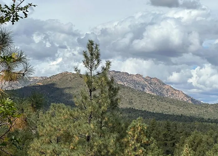 Cozy Pines In - 3bd 2ba Holiday home
