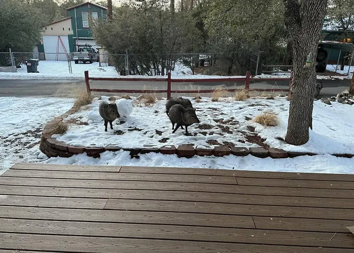Cozy Pines In - 3bd 2ba Holiday home Prescott