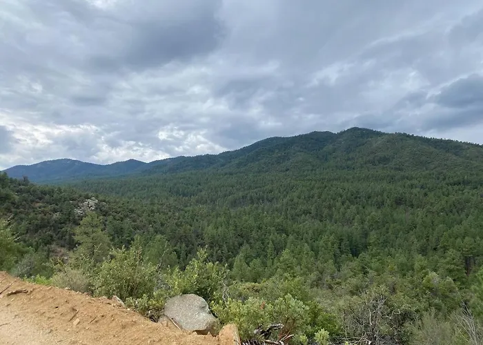 Cozy Pines In - 3bd 2ba Holiday home *